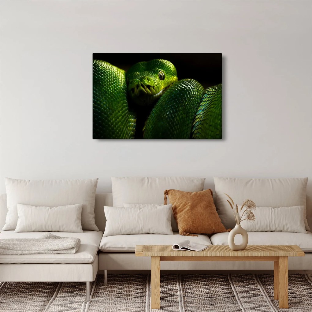 Kép - Zöld kígyó (90x60 cm)