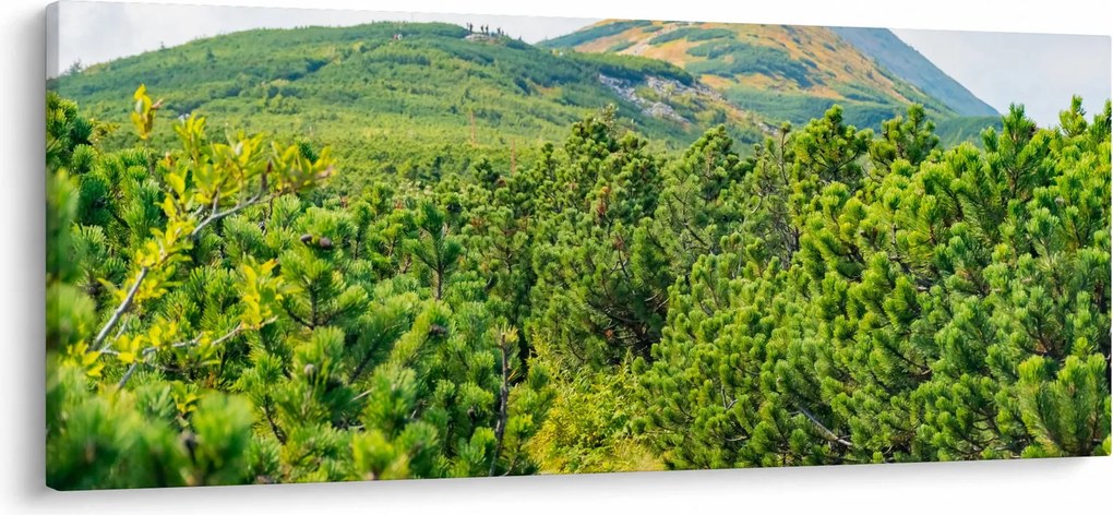 Kép - Babi Hora, Lengyelország (120x50 cm)