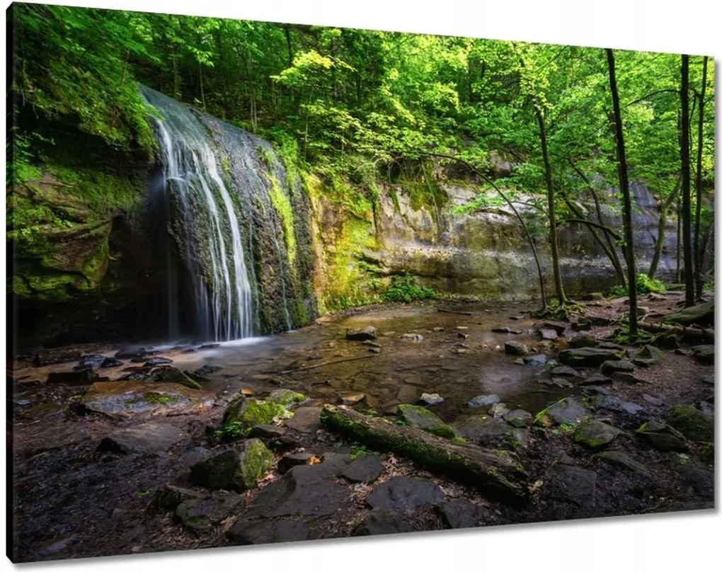 Vászonkép 100x70 Trópusi erdő vízesés