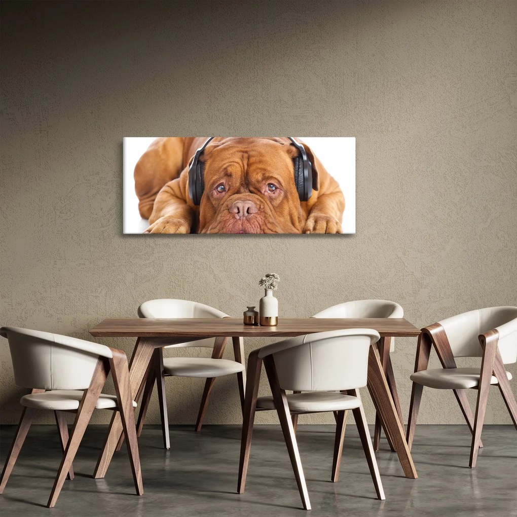 Kép egy kutya fejhallgatóval (120x50 cm)