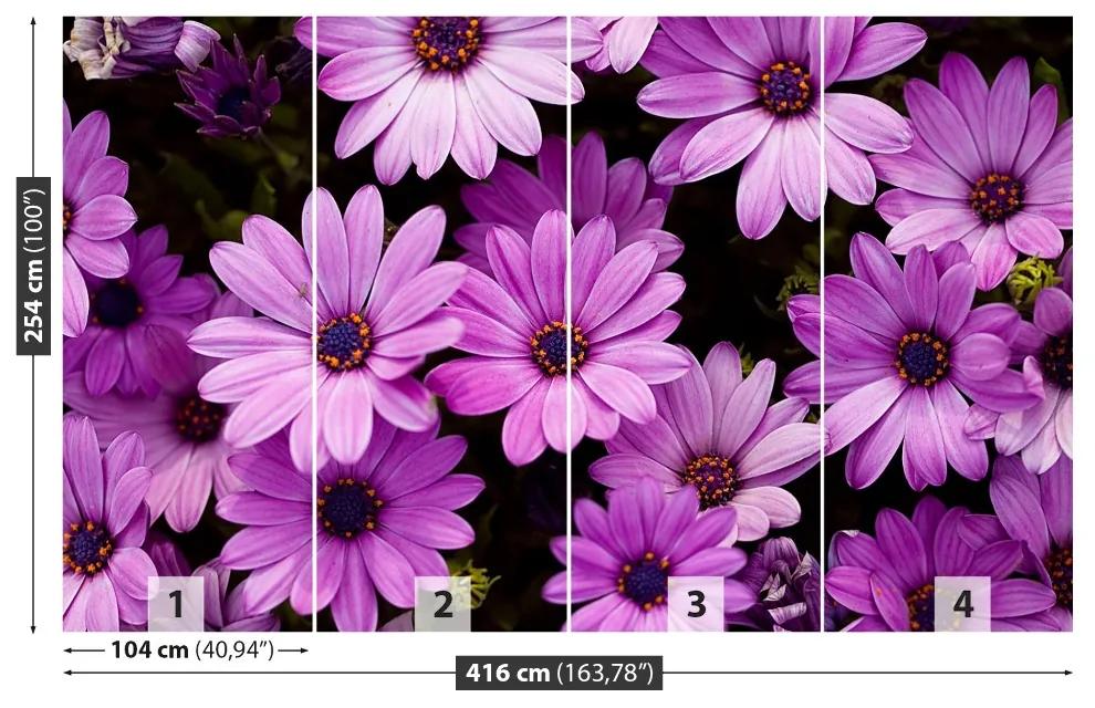 Fotótapéta lila virágok 104x70 cm