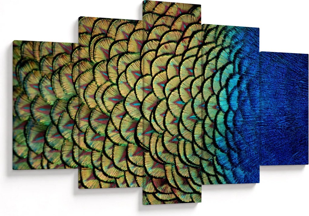 Kép - Pávatollak (150x105 cm)