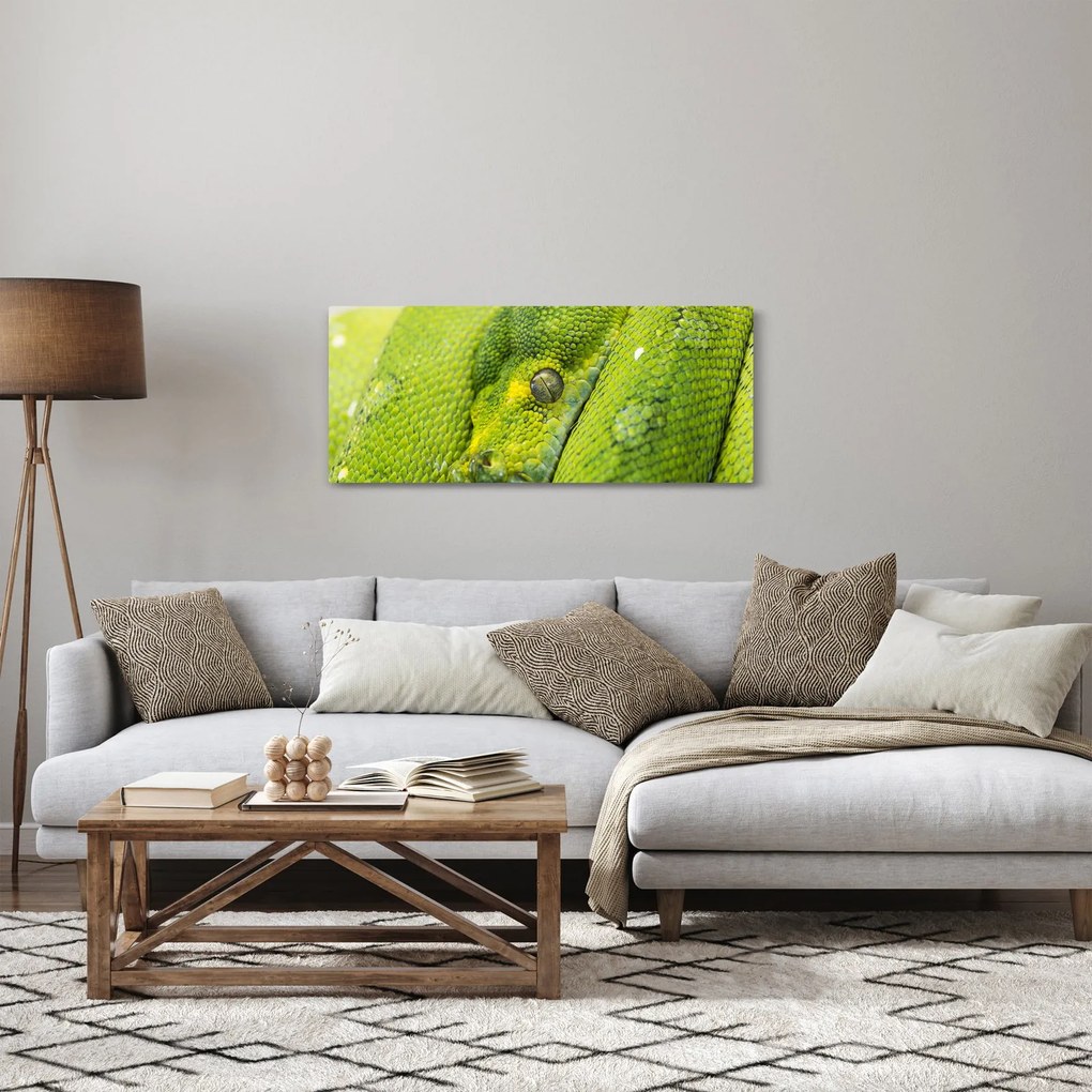 Kígyó képe (120x50 cm)