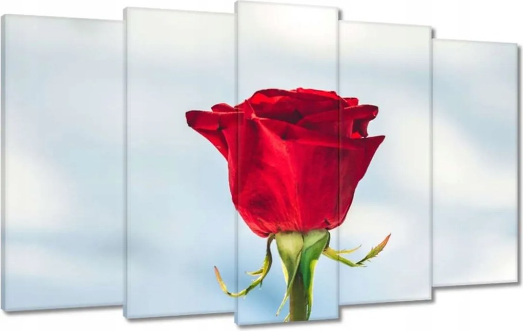 Vászonkép 100x60 Rózsa Virág Virágok Rózsa