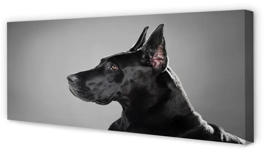 Canvas képek Fekete kutya 125x50 cm