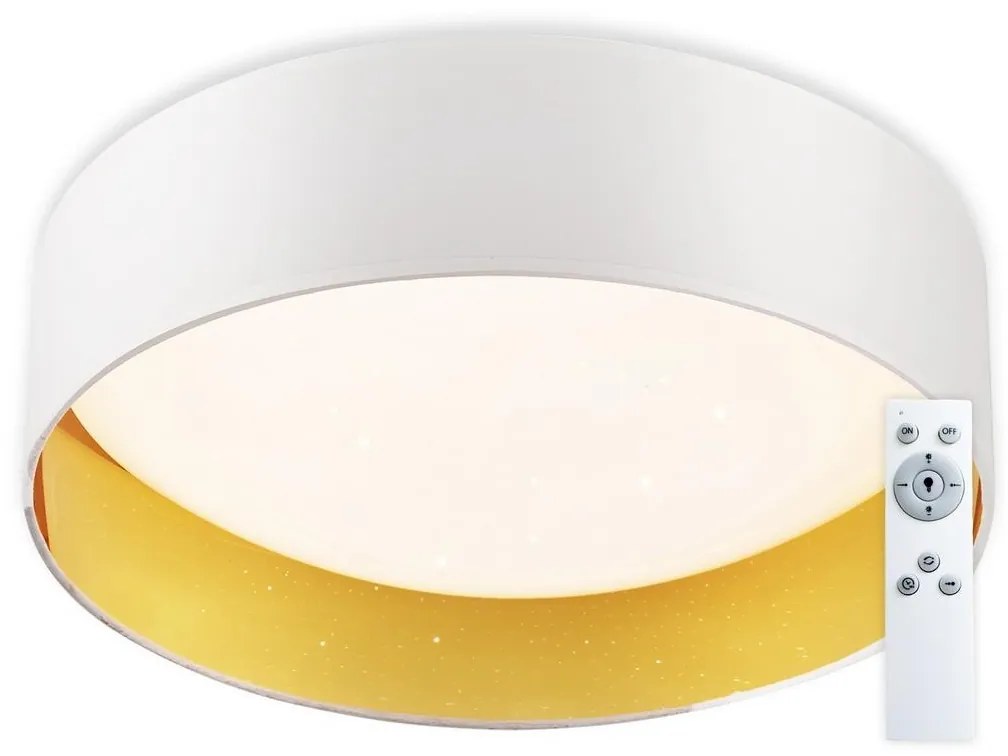 Top Light Top Light - LED Dimmelhető mennyezeti lámpa LED/24W/230V +dálkové irányítás fehér TP1657