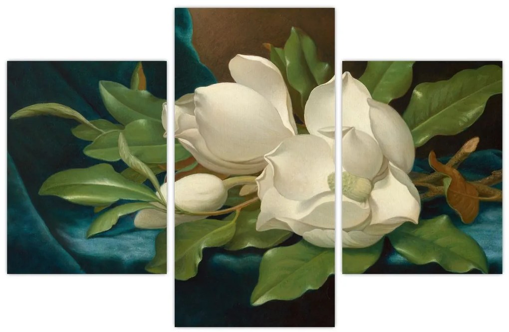 Kép - Martin Johnson Heade, Giant Magnolias on a Blue Velvet Cloth, reprodukciók (90x60 cm)