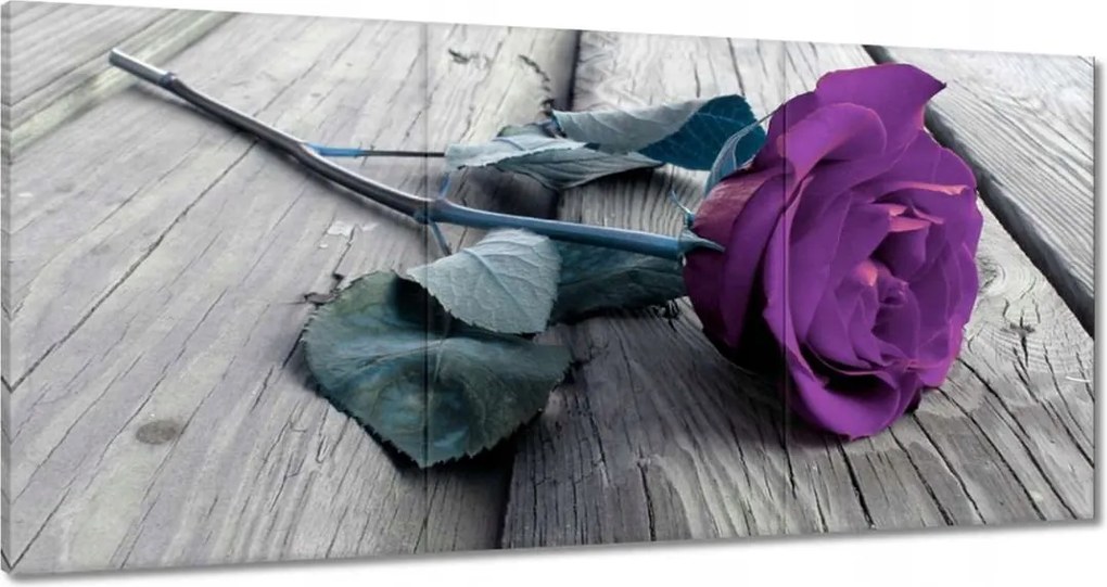 Vászonkép 180x90 Lila rózsa Padló