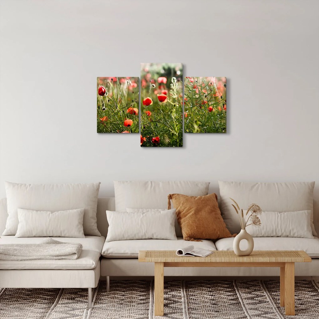 Pipacsok képe (90x60 cm)