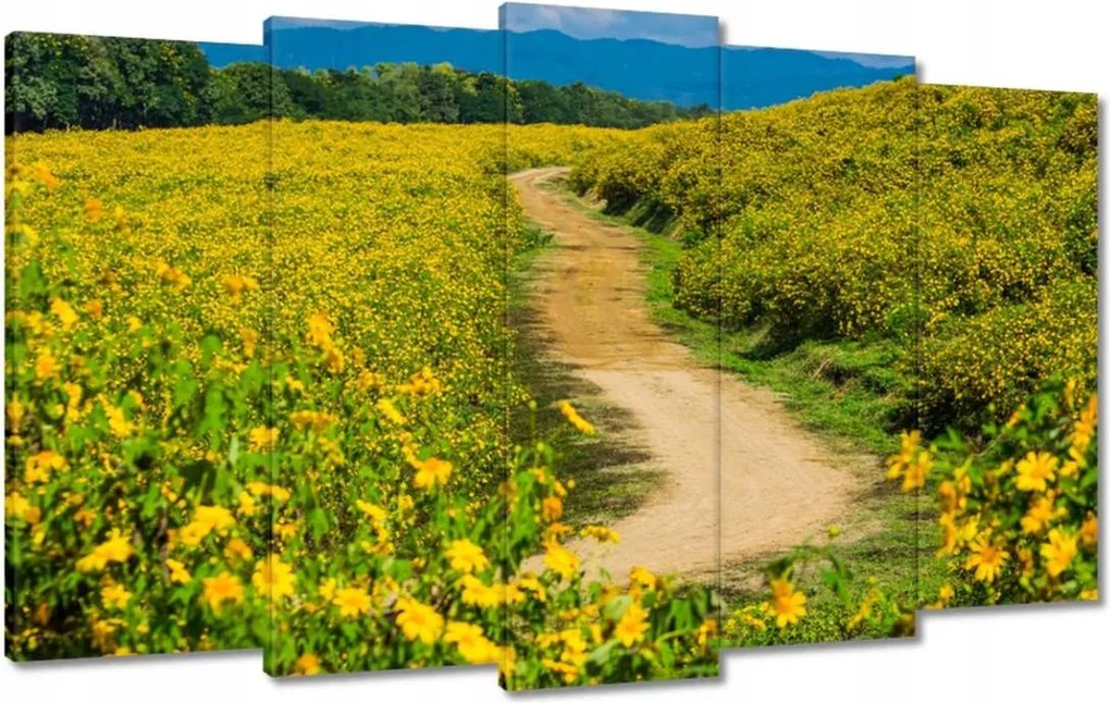 Festmények 100x60 Falusi tejút