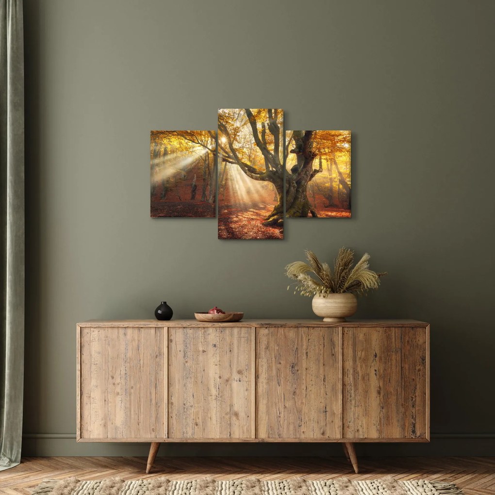 Kép - Őszi fény (90x60 cm)