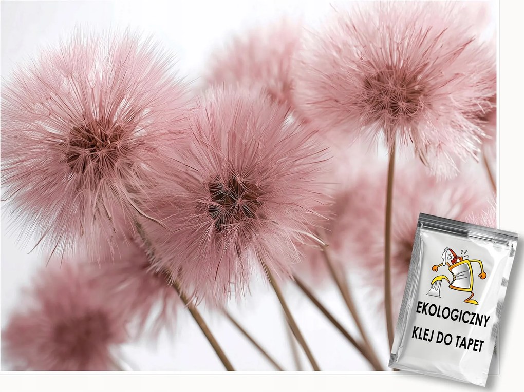 Fotótapéta Pitypang Rózsaszín Természet 3D Falra Hálószoba Nappali 250x175