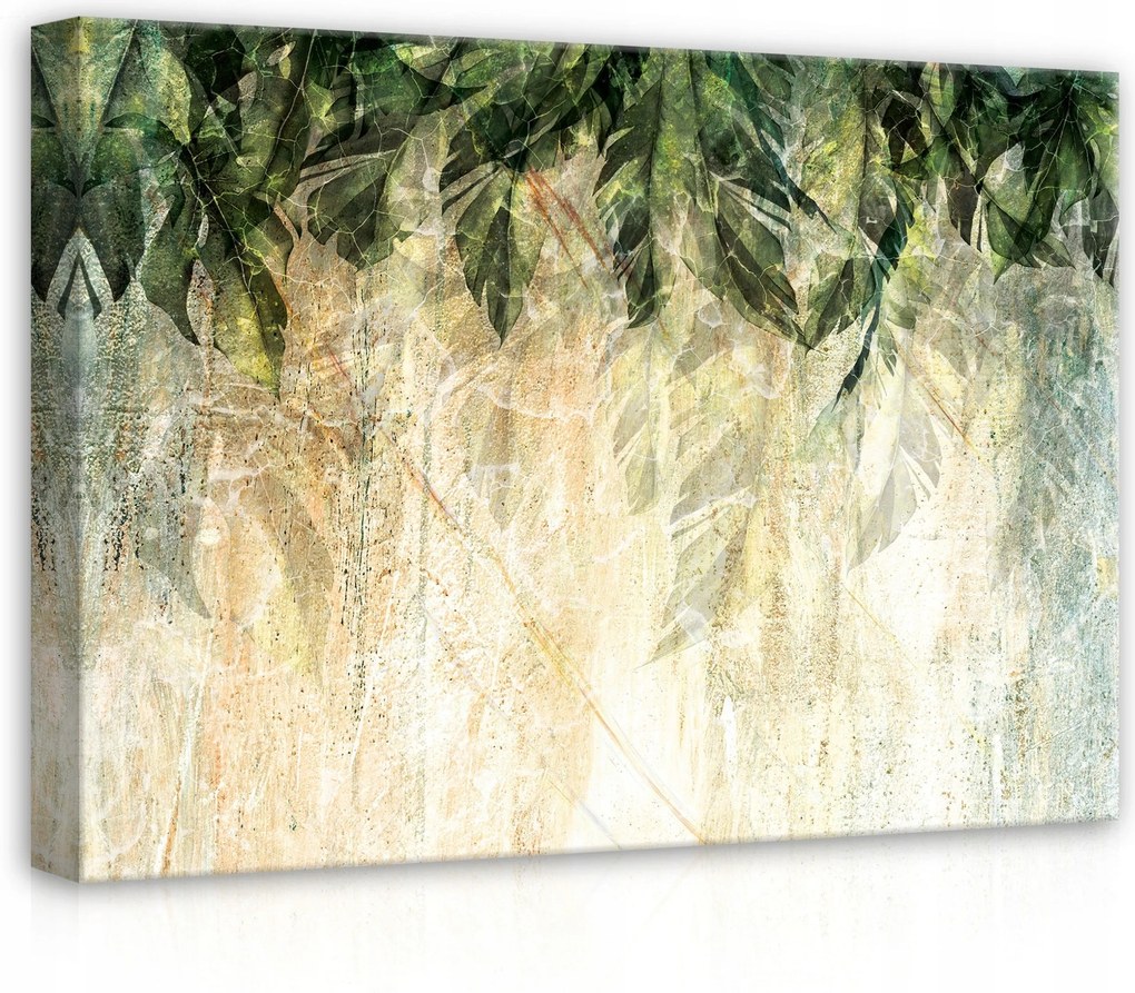 Vászonkép 70x50 Trópusi levelek zöld természet textúra absztrakt nyugalom