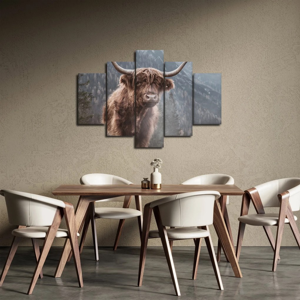 Kép - Highlander tehén (150x105 cm)