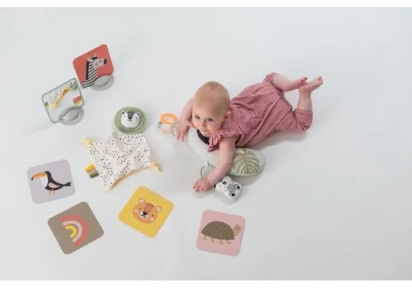 Taf Toys - Ajándékdoboz HELLO BABY