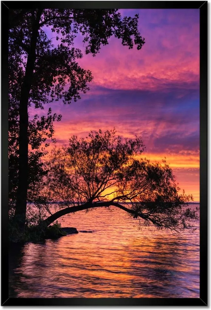 Poszterek keretben 40x60 Tó Fa Nyugat