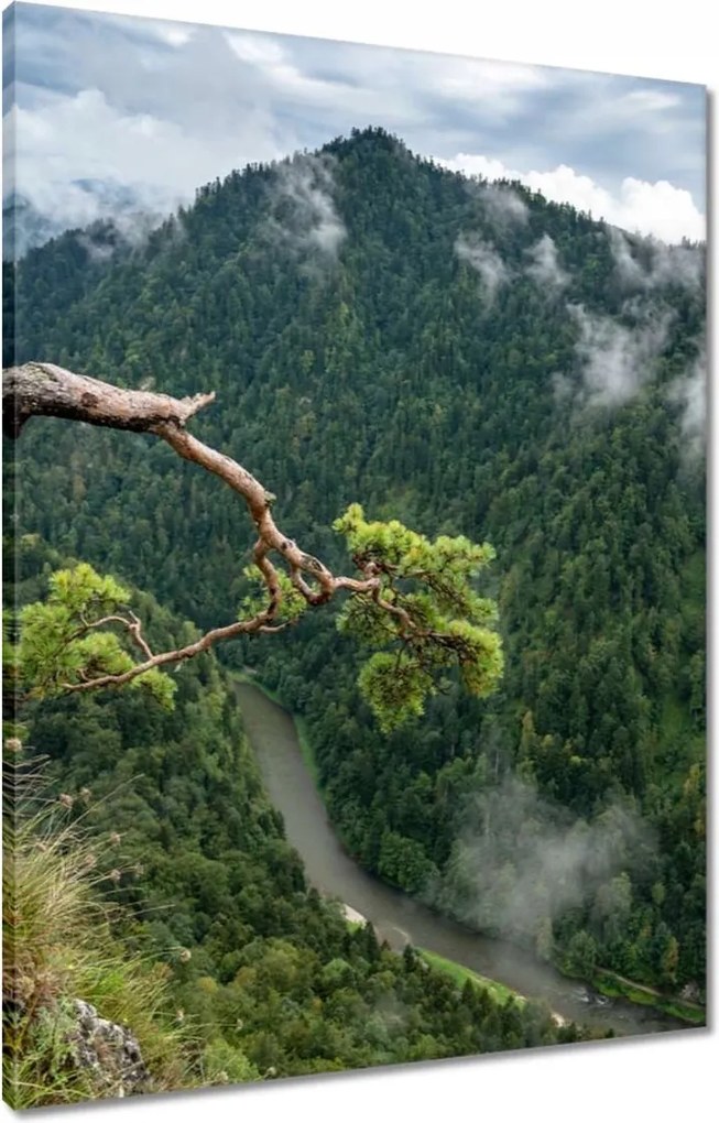 Vászonkép 60x80 Tájkép Sólyomkő