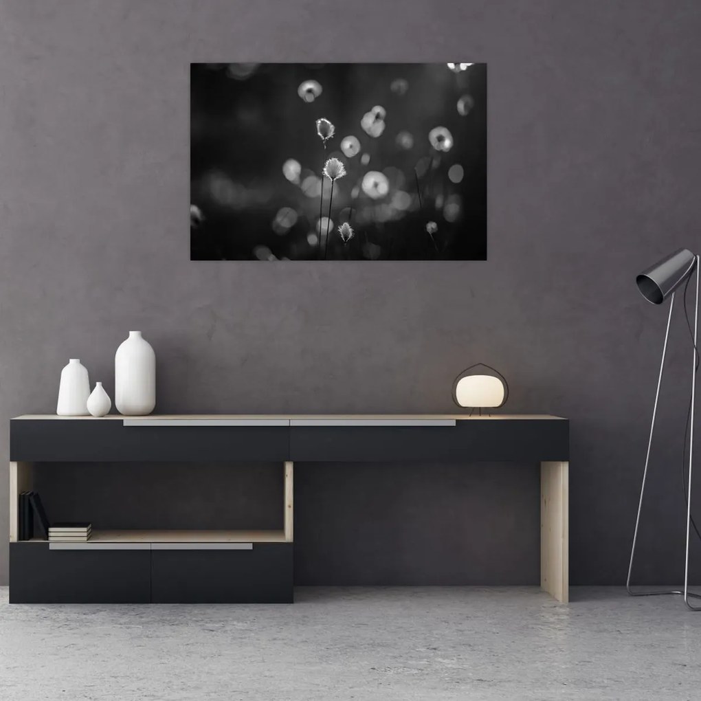 Kép - Pamutfű a réten (90x60 cm)