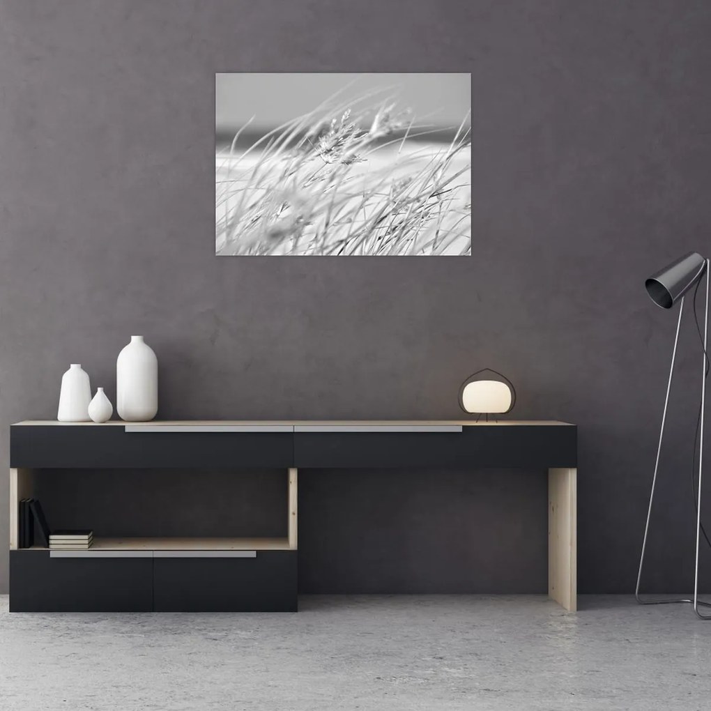 Üveg kép - Strandfű (70x50 cm)