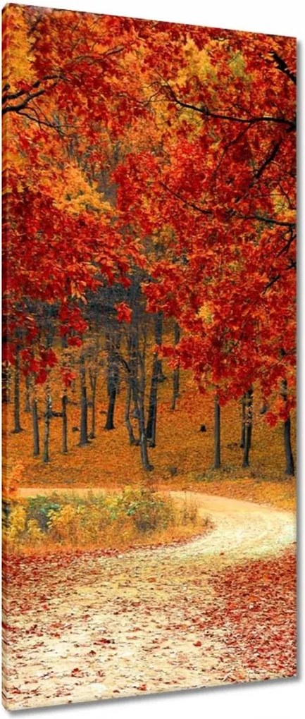 Festmények 55x115 Tájkép