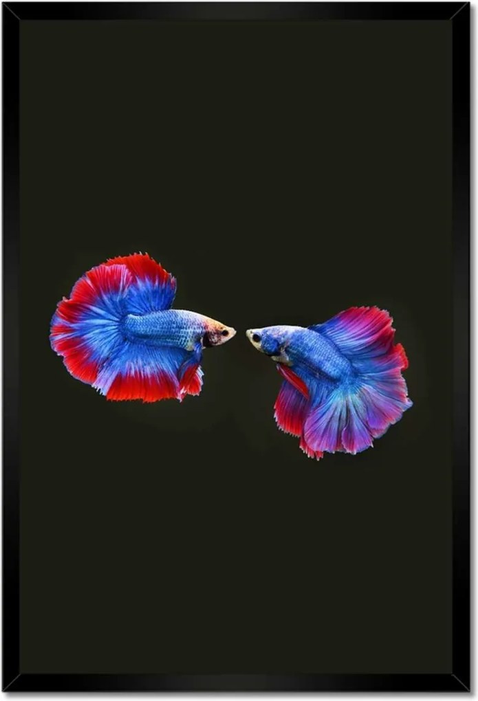 Poszterek keretben 40x60 Színes két harcos