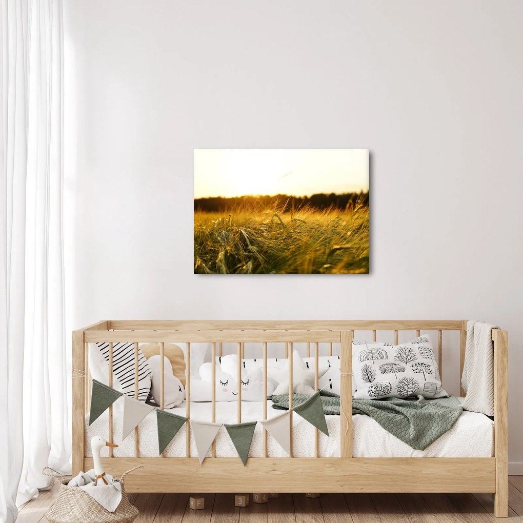 Harmatos fű képe (70x50 cm)