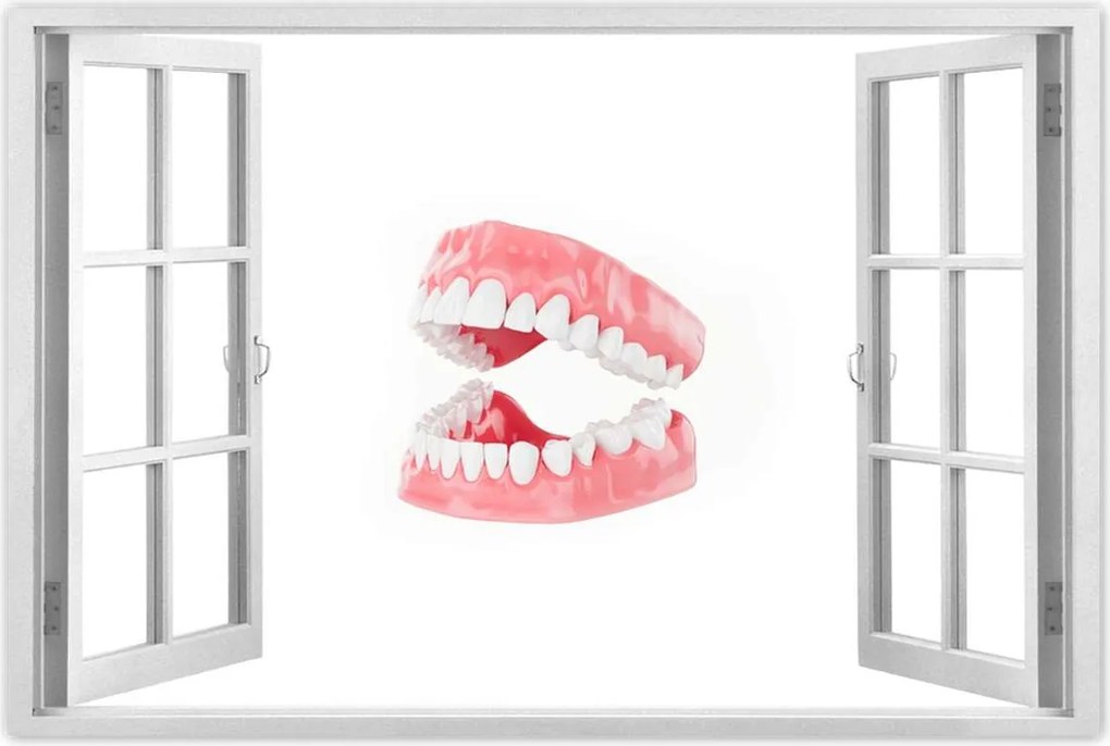 Poszterek 90x60 Állkapocs a dolgozószobába Fogak