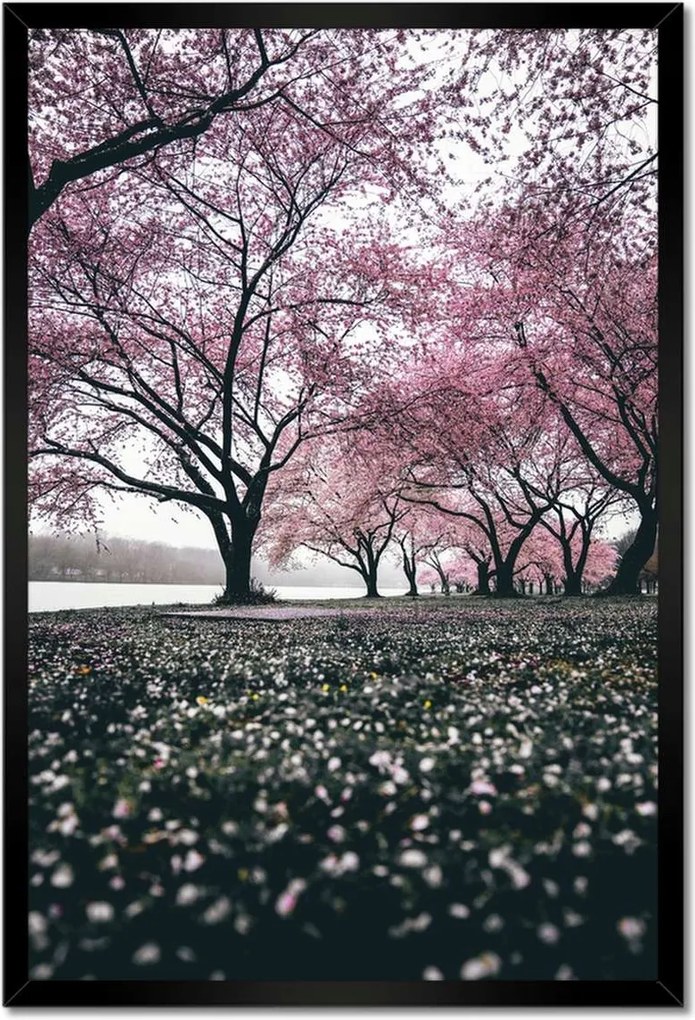 Poszterek keretben 40x60 Fa Kilátás