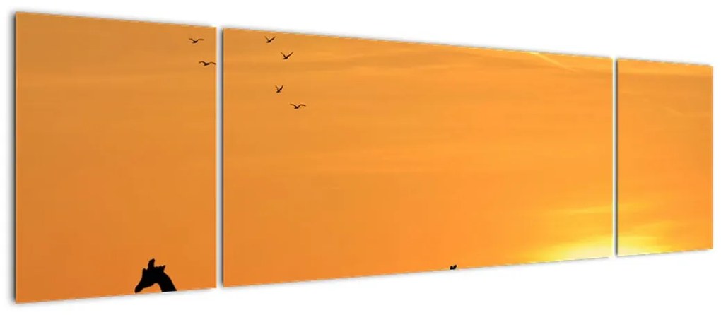 Modern kép - zsiráfok (170x50cm)