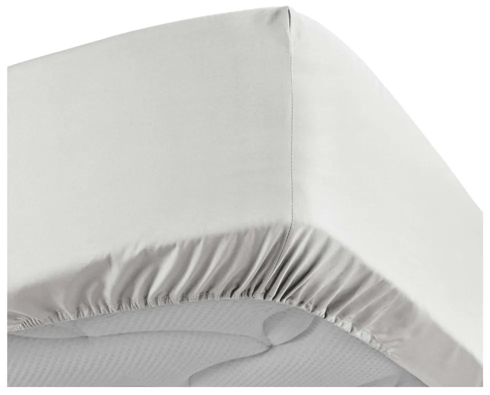 Fehér gumis pamut-perkál lepedő 180x200 cm Percaline – douceur d'intérieur