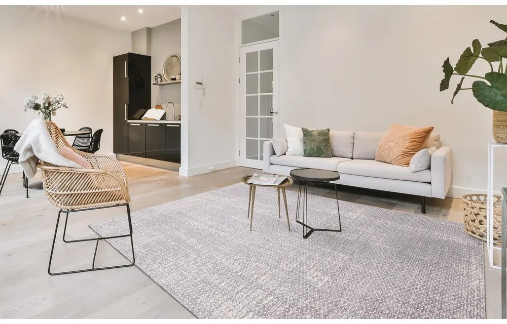 Világosszürke gyapjú szőnyeg 160x240 cm Eden – Agnella