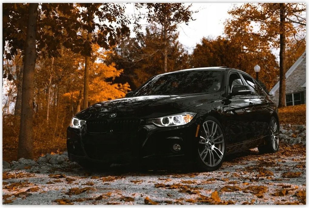 Poszterek 120x80 Fekete Bmw Ősz