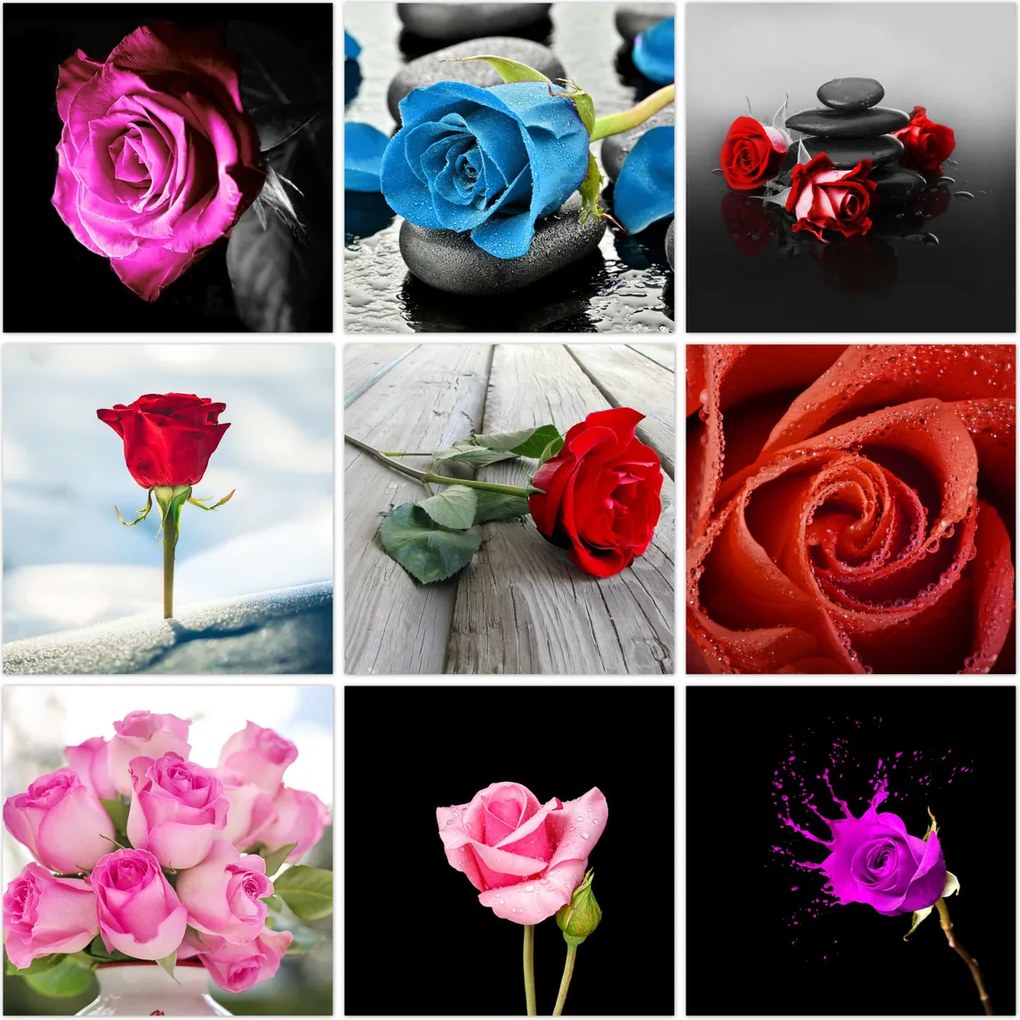 Vászonkép szett 9x 60x60 Mix Rózsa