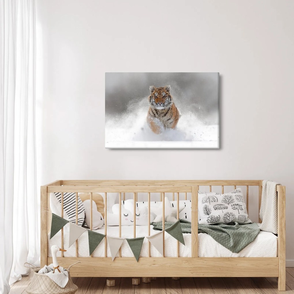 Futó tigris a hóban képe (90x60 cm)