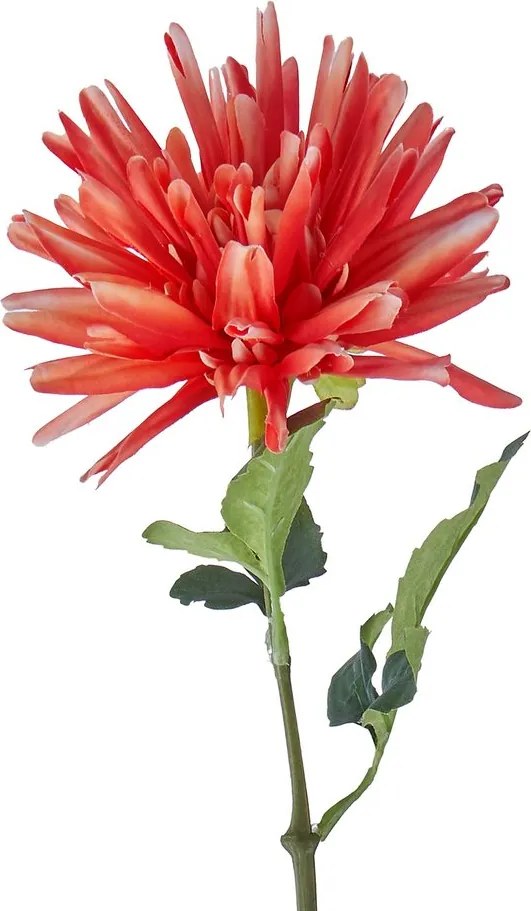 FLORISTA dália 59 cm, piros