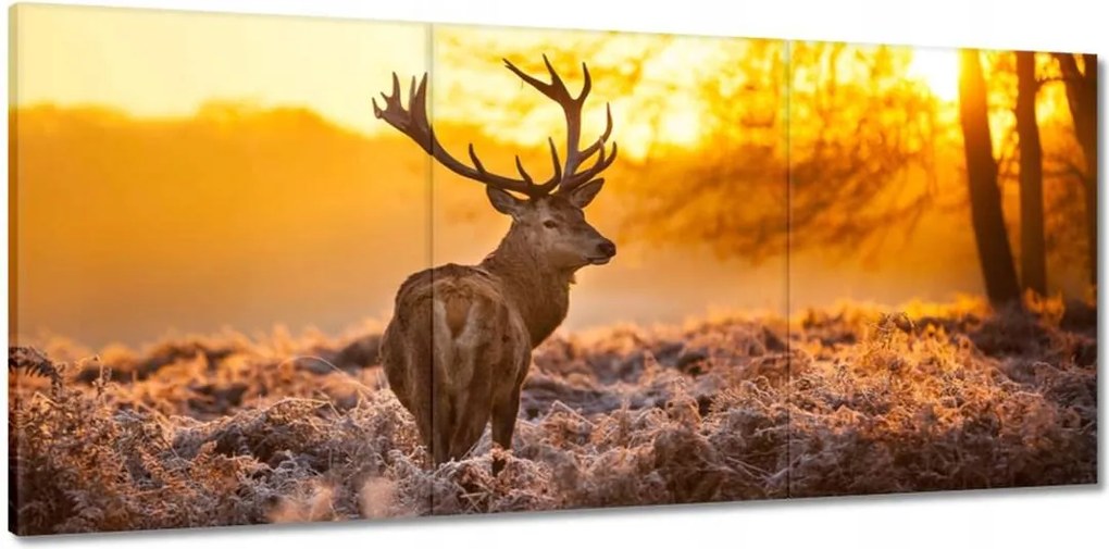 Vászonkép 150x70 Szarvas napfelkeltekor