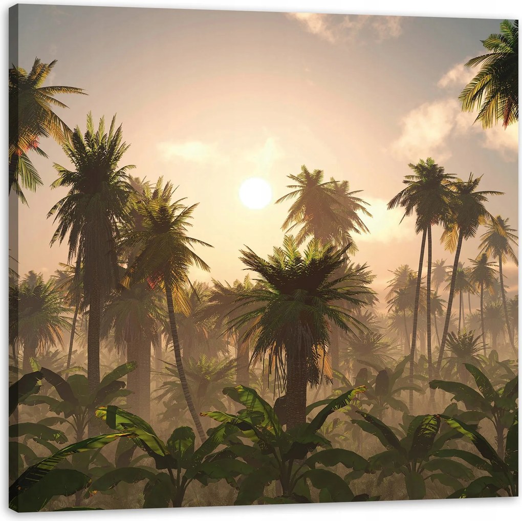 Vászonkép Naplemente Pálmafák Natura 50X50 cm Ideális ajándék