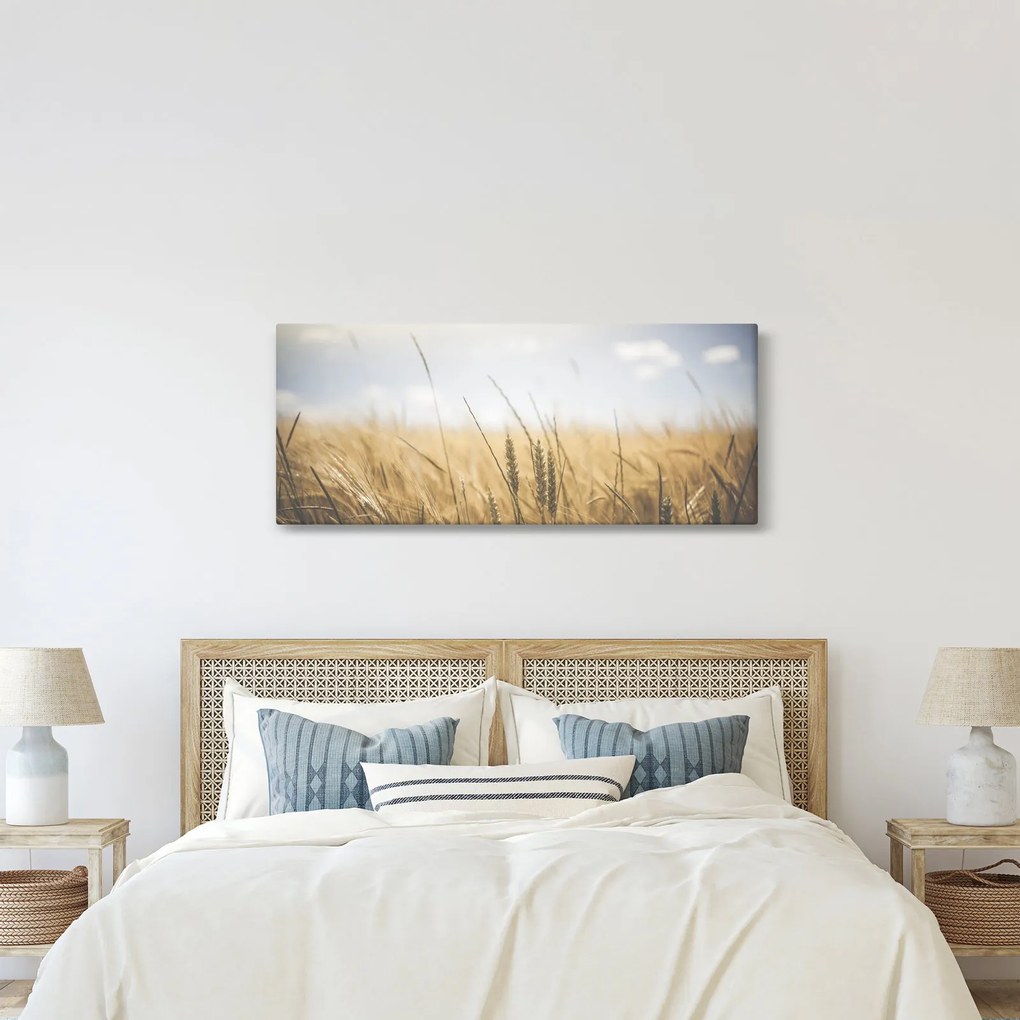 A gabona képe (120x50 cm)