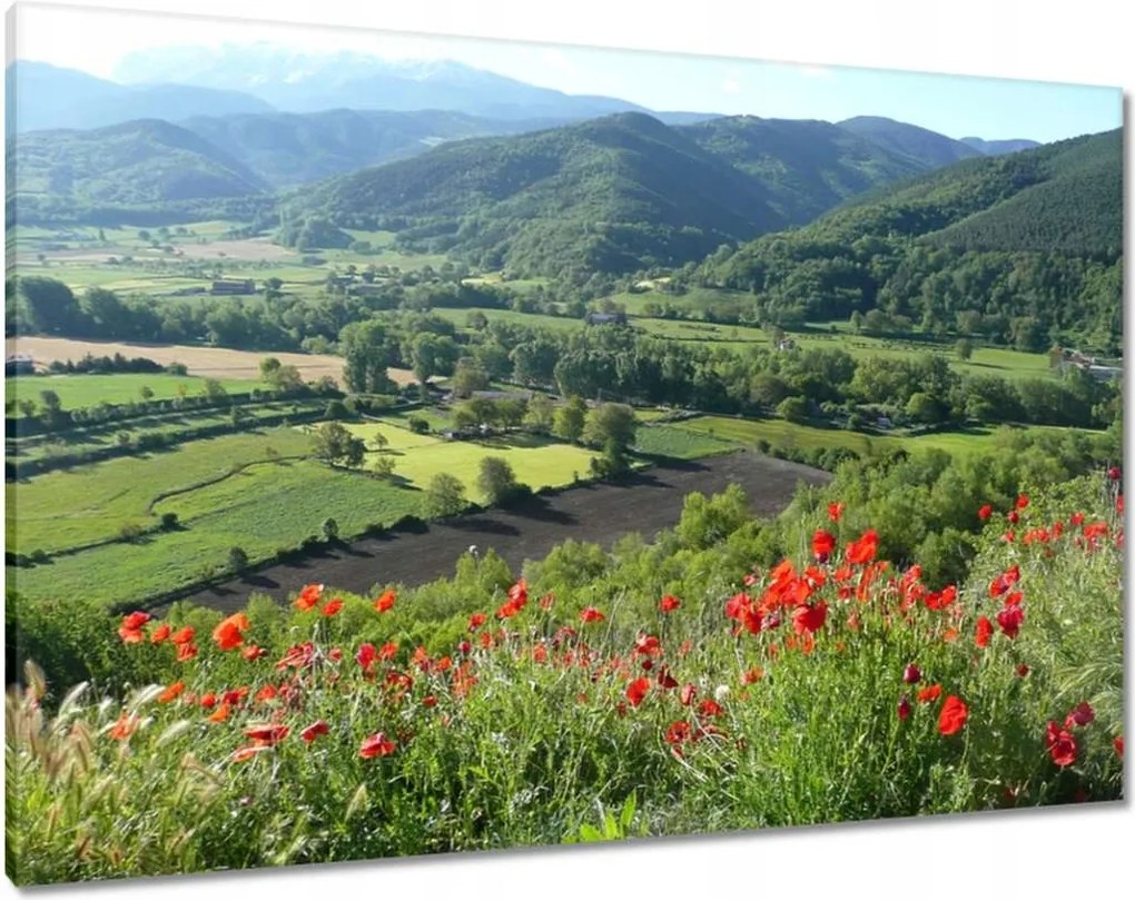 Vászonkép 100x70 Virágos kilátás a hegyekben