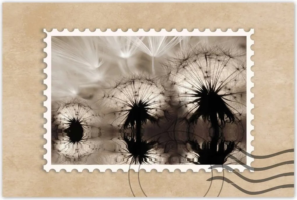 Poszterek 60x40 Pitypangok szépia papírsárkányok