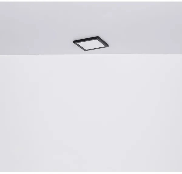 Globo 12380-24B - LED Mennyezeti lámpa LASSE LED/24W/230V 3000/4000/6500K fekete