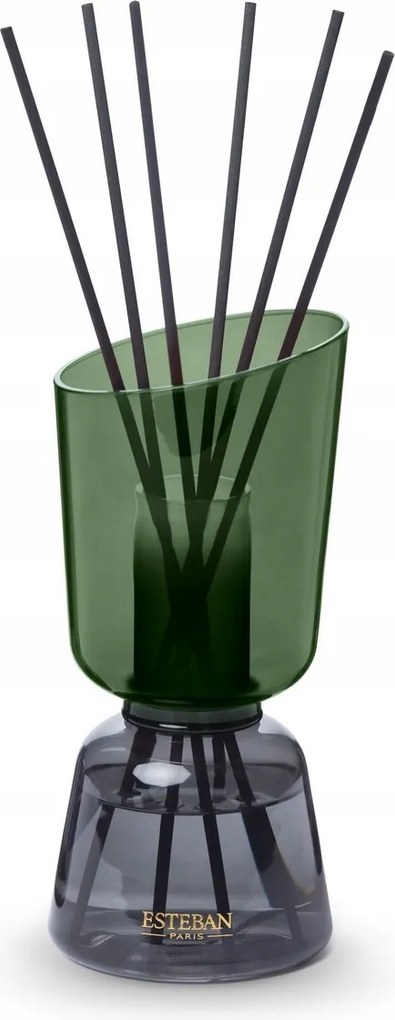 Esteban Iconic Üveg aroma diffúzor pálcikákkal 250 ml Neroli