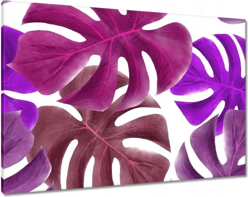 Vászonkép 100x70 Monstera Levelek Lila