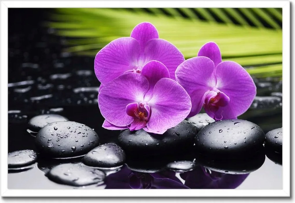 Poszterek keretben 60x40 Orchidea köveken