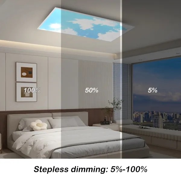 Brilagi - LED dimmelhető mennyezeti lámpatest SLIMFRAME SKY LED/80W/230V 120x60 cm + távirányító
