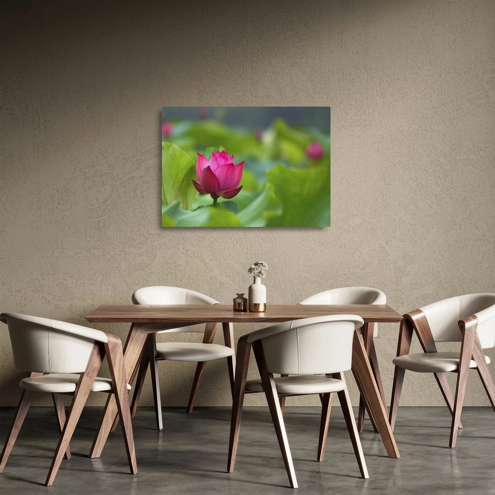 Kép - vízi növény (üvegen) (70x50 cm)