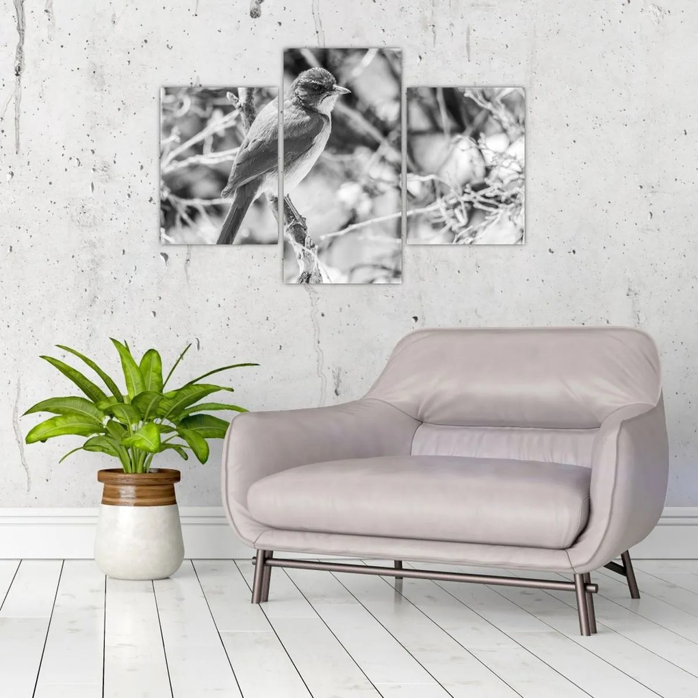 Kép - Kék madár télen (90x60 cm)