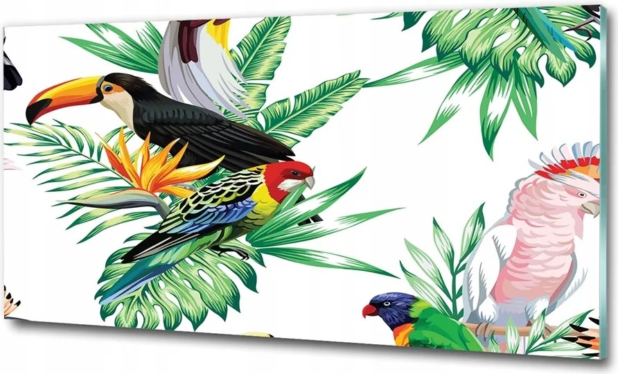 Fotó-üvegkép Trópusi madarak 100x70