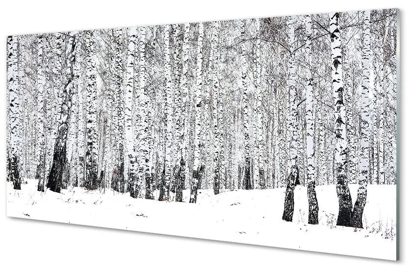 Üvegképek Téli nyírfák 140x70 cm