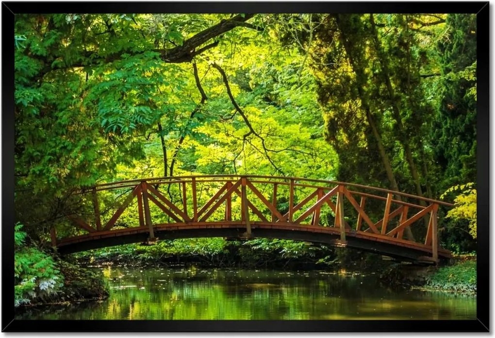 Poszterek keretben 60x40 Fa híd